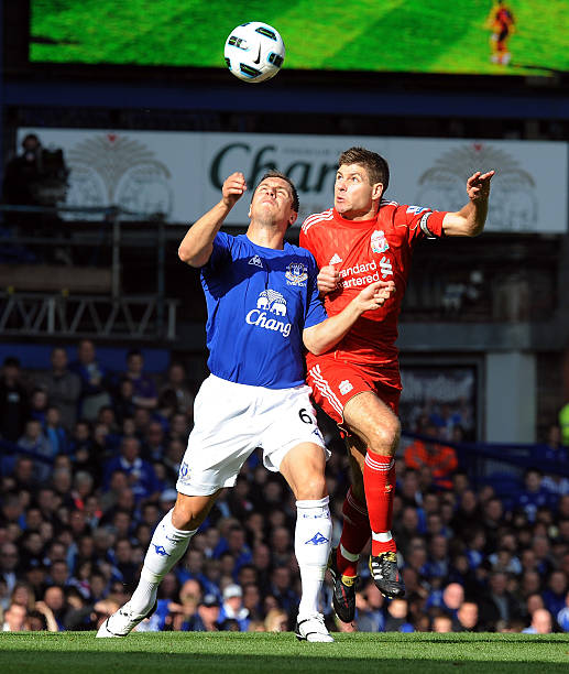 这种未来导 这种未来导