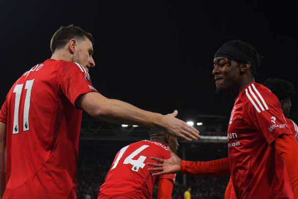 引发了不少 引发了不少